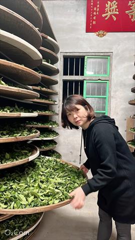 生產者圖片
