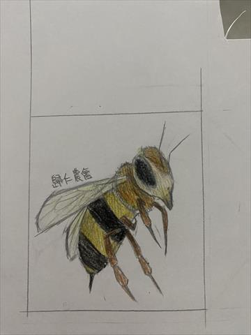 生產者圖片