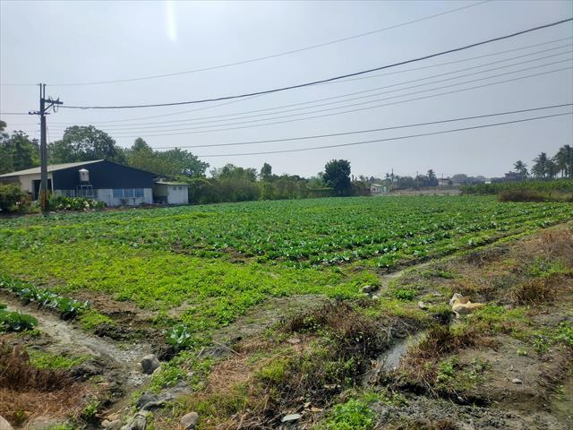 生產者圖片