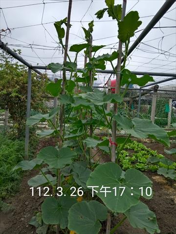 生產者圖片