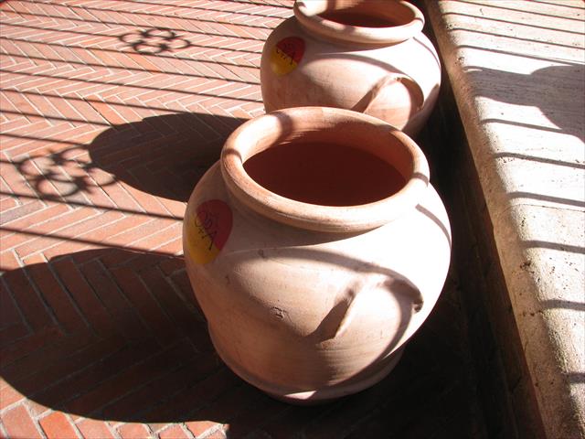 生產者圖片