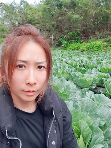 生產者圖片