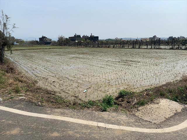 生產者圖片