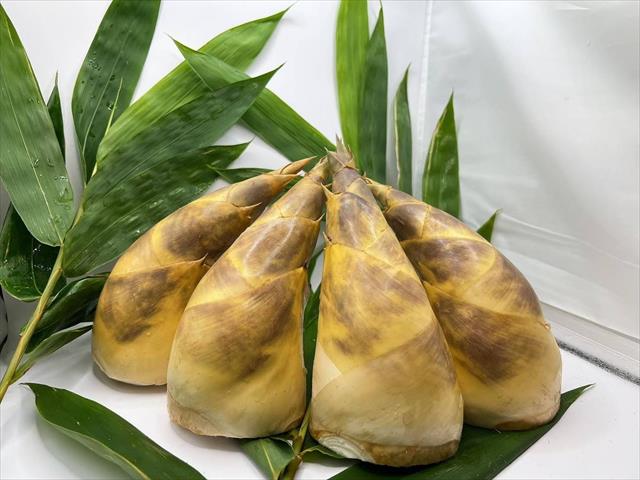 生產者圖片