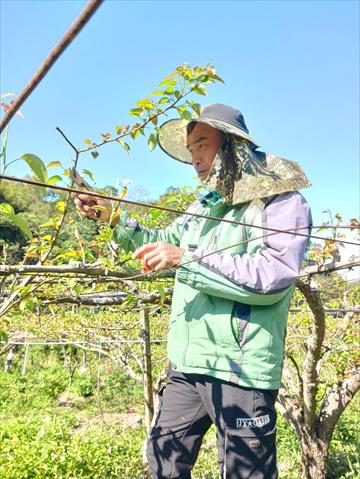 生產者圖片