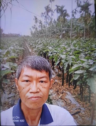 生產者圖片