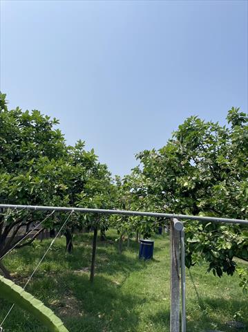 生產者圖片