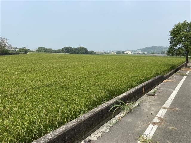 生產者圖片
