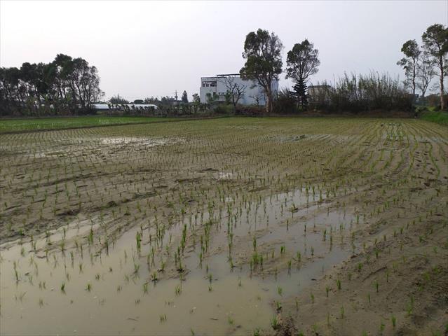 生產者圖片