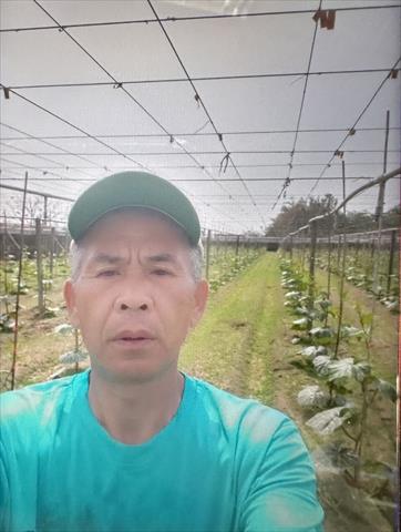 生產者圖片