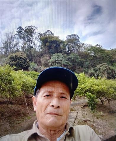 生產者圖片