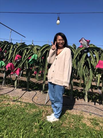 生產者圖片