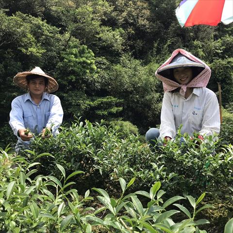 生產者圖片