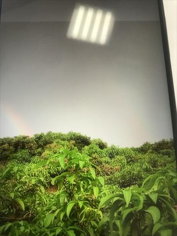 生產者圖片