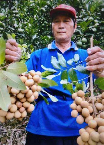 生產者圖片