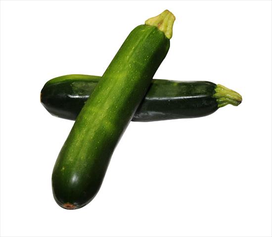 生產者圖片