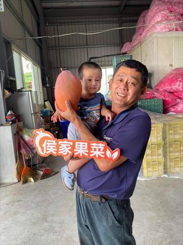 生產者圖片