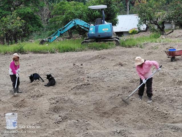 生產者圖片