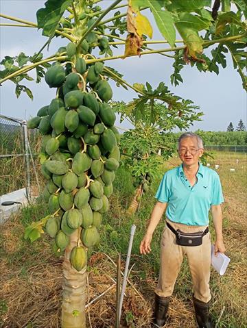 生產者圖片