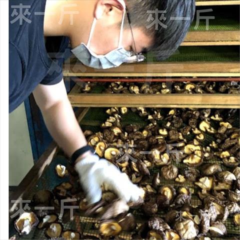 生產者圖片