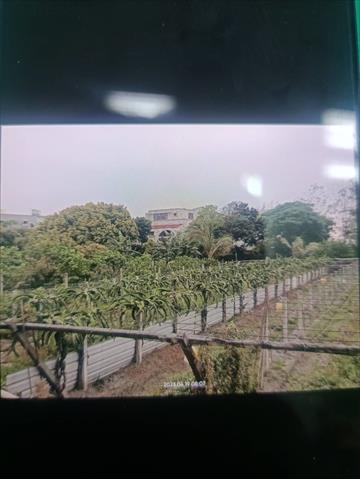 生產者圖片