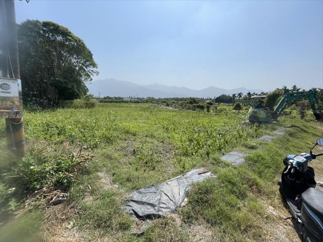 生產者圖片