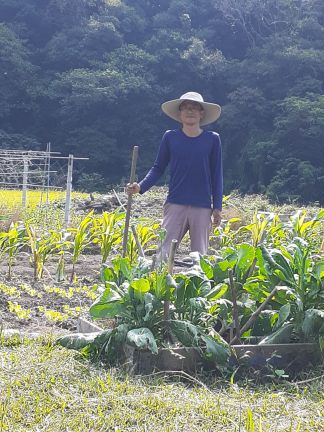 生產者圖片