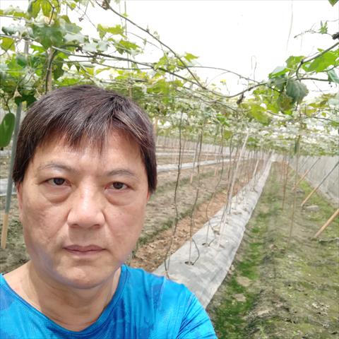 生產者圖片
