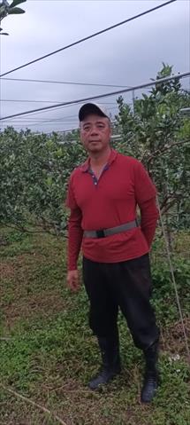 生產者圖片