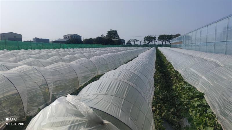 生產者圖片