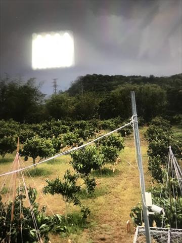 生產者圖片