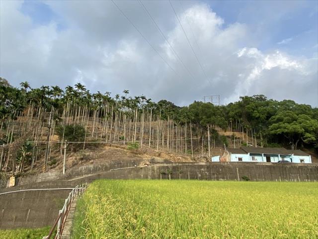 生產者圖片