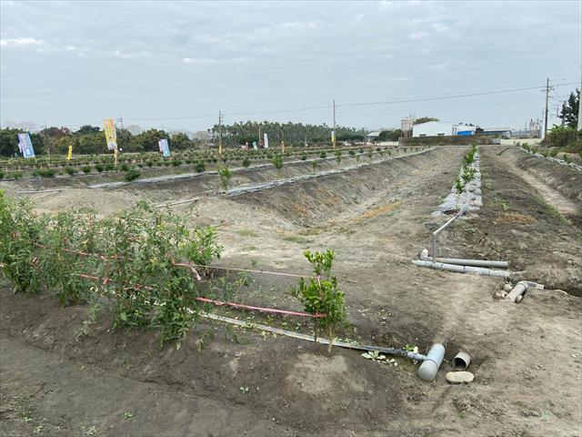 生產者圖片