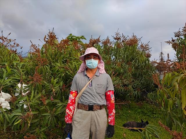 生產者圖片