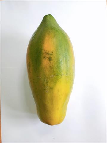 生產者圖片