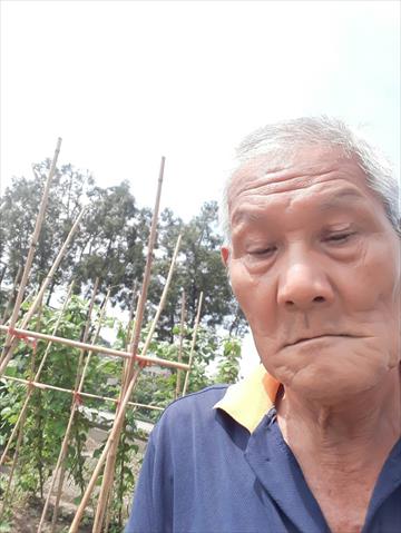 生產者圖片