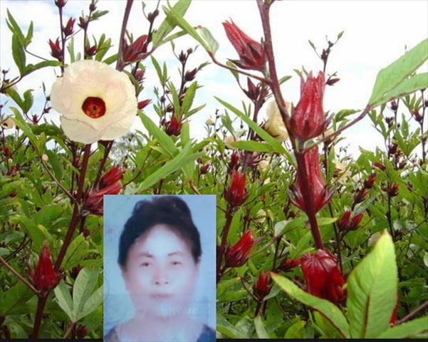生產者圖片
