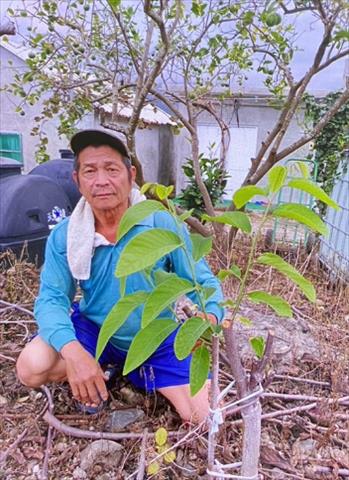 生產者圖片