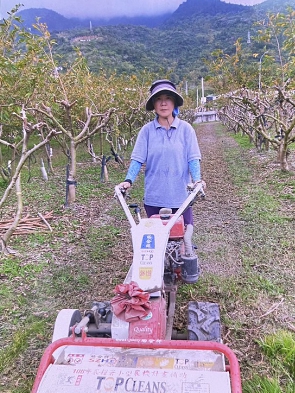 生產者圖片