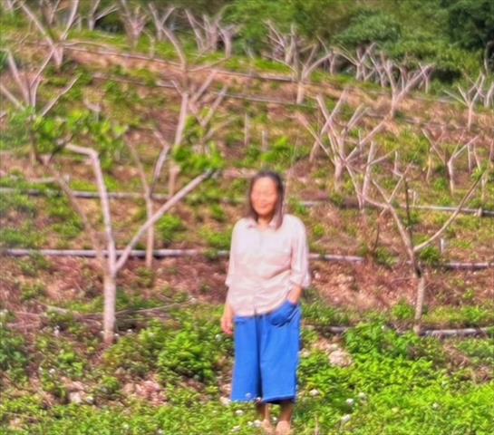 生產者圖片