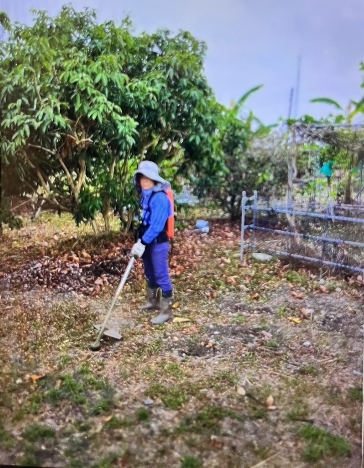 生產者圖片