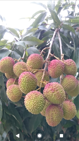 生產者圖片