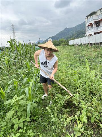 生產者圖片