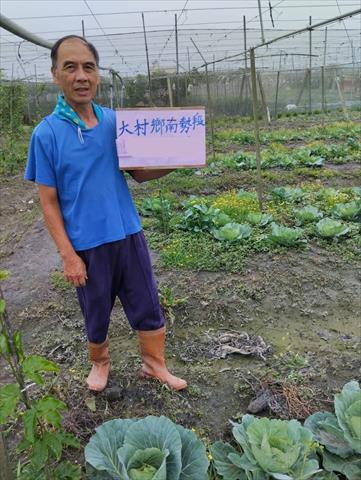 生產者圖片