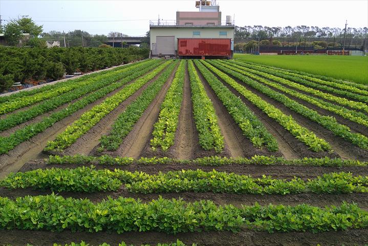 生產者圖片