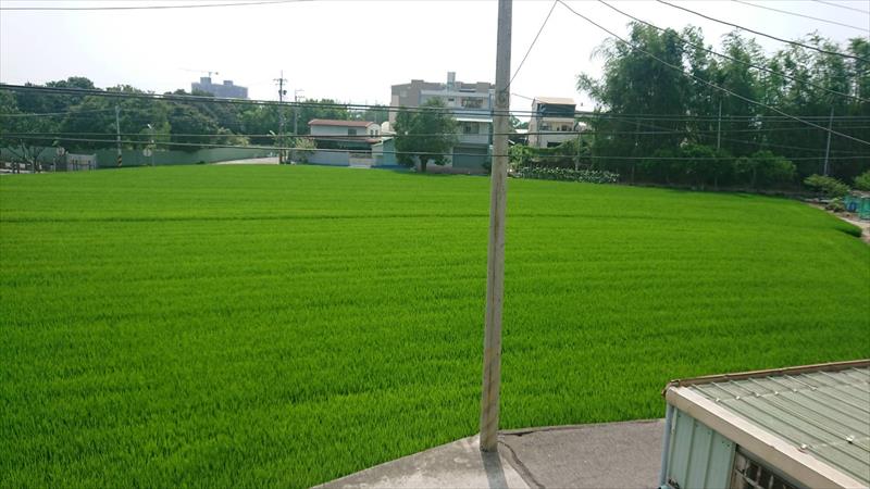 生產者圖片