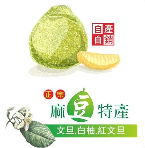 生產者圖片