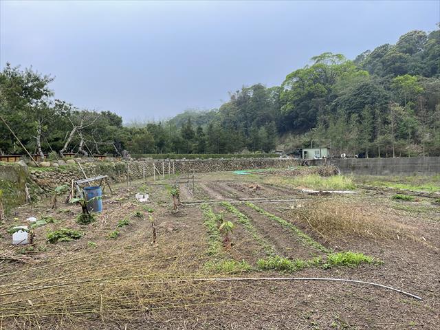 生產者圖片