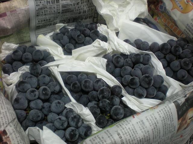 生產者圖片