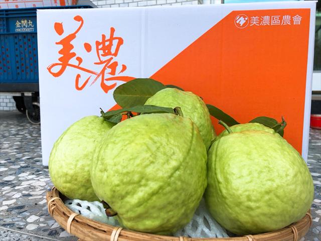 生產者圖片